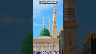 l Love madina Sharif allah viralNaat duet mrkingsherali786 ali [upl. by Nosrej]