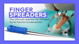 Waldent Finger Spreaders The Ultimate Solution for Efficient Gutta Percha Condensation dentistry [upl. by Charbonnier]