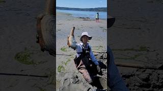 Giant Geoduck Squirting Water shorts [upl. by Avaria]