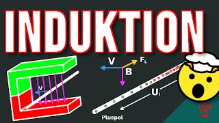 INDUKTION und die Lorentzkraft [upl. by Esdras]