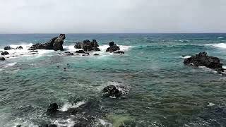 Maui Hawaii USA  Hookipa Beach [upl. by Foulk490]