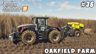 Corn planting poplar harvesting  Farming on Oakfield Farm  Farming simulator 19  Timelapse 36 [upl. by Ettenahs]