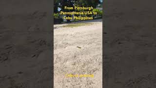 8000 miles from home In the Philippines philippines pittsburgh shorts youtube resort cebu yt [upl. by Leuneb]