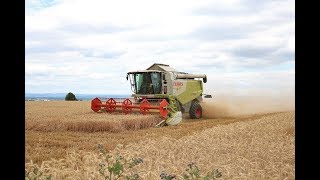 Weizen Dreschen Claas Lexion 640 bei der Arbeit in der nähe von Maintal Wachenbuchen [upl. by Yerag]