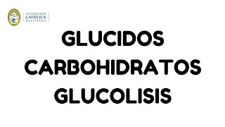 glucidos carbohidratos glucólisis [upl. by Raybin653]