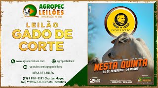 Agropecleiloescom LEILÃO GADO DE CORTE  PADRE CÍCERO LEILÕESPORTO NACIONALTO 01022024 [upl. by Sedda347]