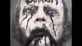 SONNE Rammstein Cover  Caliban [upl. by Walworth]