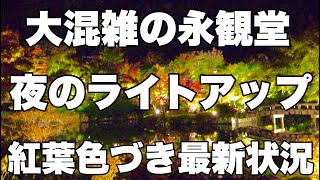 【4K】2024年11月19日（火）大混雑の京都永観堂、夜のライトアップ。紅葉色づき最新状況！夜晚灯火通明的京都永观堂。秋叶最新状况！Eikando Temple Kyoto japan [upl. by Afihtan]