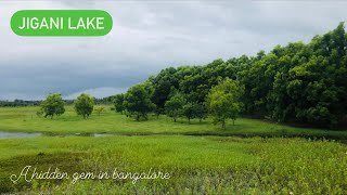 💚Evening Visit to Jigani Lake  A Hidden Beauty in Bangalore unexplored bengaluru [upl. by Eissim227]