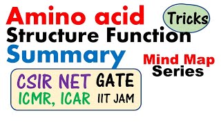 Amino acid biochemistry  amino acid structure and function [upl. by Khichabia]