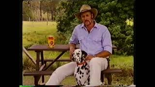 PAL Dog Food Commercial  Healthy Dog 1987 Australia [upl. by Heyward730]