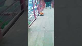 Hapless people 🥰😥 Please Help Him🙏🤲 shorts helpless shortvideo [upl. by Yakcm]