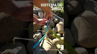 Sistema de Riego que ahorra hasta un 70 de AGUA [upl. by Atekihc]