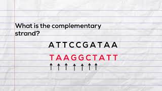 Practice writing the complementary strand of DNA and mRNA during transcription [upl. by Eelhsa350]