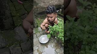 গোলুর মায়ের কথা খুব মনে পড়ছিল🧕🧕🧕🧕🧕 short video shorts youtube funny [upl. by Cirtap444]