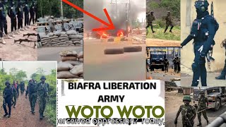 Latest Update The Biafra Defence Forces Are Doing Us Proud Another WOTOWOTO Victory Recorded… [upl. by Adnylem789]