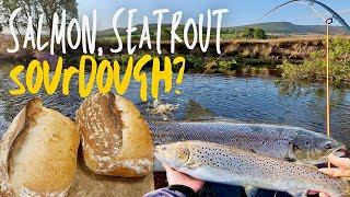 Loaves and Fishes Salmon and sea trout fishing on the River Coquet [upl. by Ntisuj]