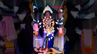 Kalika devi shortsfeed kaalikamatha durgadevi annapurneshwari shakambhari brahmacharini [upl. by Enomad]