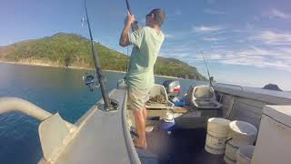 Mackay Cockermouth IslandShallow water reef fishing [upl. by Atirma]