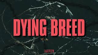 Lakeview  Dying Breed Visualizer [upl. by Lyrrehs]