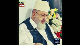 Teri Misal Nazeer Na Mildi  Eho Jae Tasveer Na Mildi  Peer Abdul Qadir Jamal o Deen Algillani RA [upl. by Kelcy]