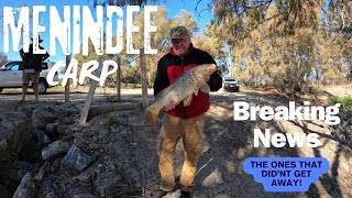 Carp Fishing  how to fish Menindee Lakes gold [upl. by Shippee]