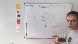 Boltzmann Distribution Curves [upl. by Savick596]