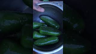 Making Smoked Jalapeños On My Offset Smoker shorts jalapeno [upl. by Retlaw]