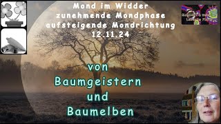 Mond Geflüster von Baumgeistern und Baumelben [upl. by Poul]