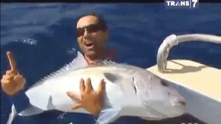 Huge Fish  Cach amp Release 50kg Samson Fish  Australia Mancing Mania [upl. by Casta931]