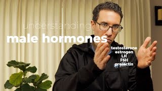 Doctor explains How to Understand Male Hormones and Fertility [upl. by Meir]