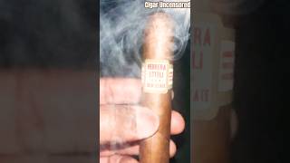 Great Cigar Herrera Esteli Drew Estate cigar october festival Best smoke DrewEstate [upl. by Irrabaj]