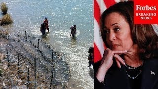 ‘Completely Out Of Her Depth’ GOP Lawmaker Bashes Harris’s Handling Of Southern Border [upl. by Grishilda973]