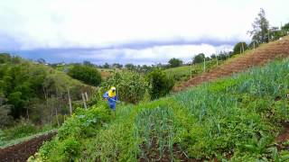 La familia y la agricultura sostenible en Escuela de Campo Capítulo completo [upl. by Adnuahsal]