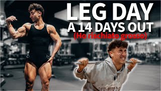 Il mio ALLENAMENTO di GAMBE a 14 giorni dai nazionali di Natural Bodybuilding [upl. by Sabina]