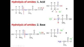 Hydrolysis of polyamides [upl. by Hadeis]