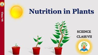 What are the 3 types of nutrition in plants Nutrition in Plants  Science  Class 7 [upl. by Landis]