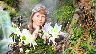 Cottingley Fairies A Historical Photo Gallery COLOURISED [upl. by Liemaj]