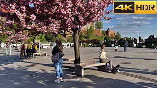 🇵🇱 Poland Spring Walk  Krakow Walking Tour  European Bloom 🌸 4K HDR [upl. by Hughie]