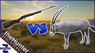 Best Weapon for Gemsbok Call of the Wild TheHunter [upl. by Merta654]