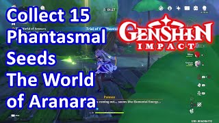 Collect 15 Phantasmal Seeds The World of Aranara Genshin [upl. by Crutcher131]