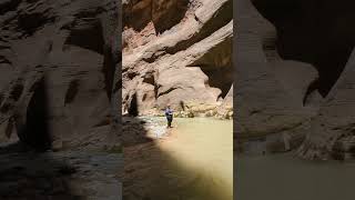 Discover The Narrows Zion’s Most Famous Trail zionnationalpark hikingadventure water hiking [upl. by Nickolai]