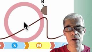 05 Cell Cycle Control [upl. by Marianna701]