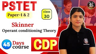 Operant Conditioning Theory Lec30  BF Skinner  CDP PSTET Paper 1 amp 2  45 Days Course [upl. by Ario]