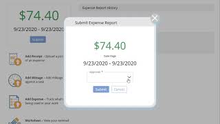 How to Submit an Expense Report in Project Insight [upl. by Rosabel]