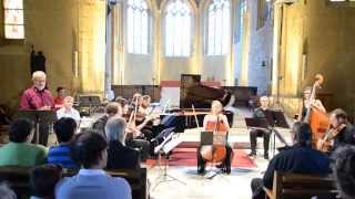 CAMILLE SAINT SAËNS  Le Carnaval des animaux  Les Musicales de Louvergny 2014 [upl. by Ecnahs]