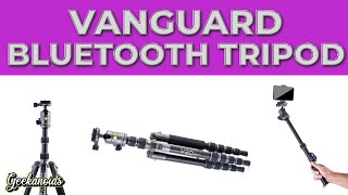 Vanguard VEO 3 Go 235AB Bluetooth Tripod Monopod Review [upl. by Fabrienne]