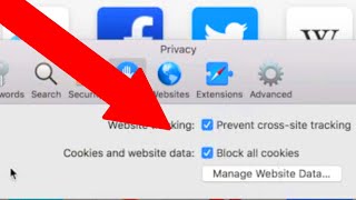 How to Enable Cookies on Mac 2021 NEW UPDATE [upl. by Yetac896]