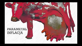 PARAMETAL  INFLACJA Official Video [upl. by Akenn]