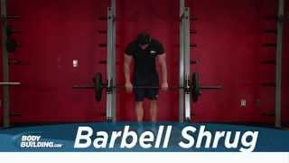 Barbell Shrug  Shoulder Exercise  Bodybuildingcom [upl. by Nimzzaj]